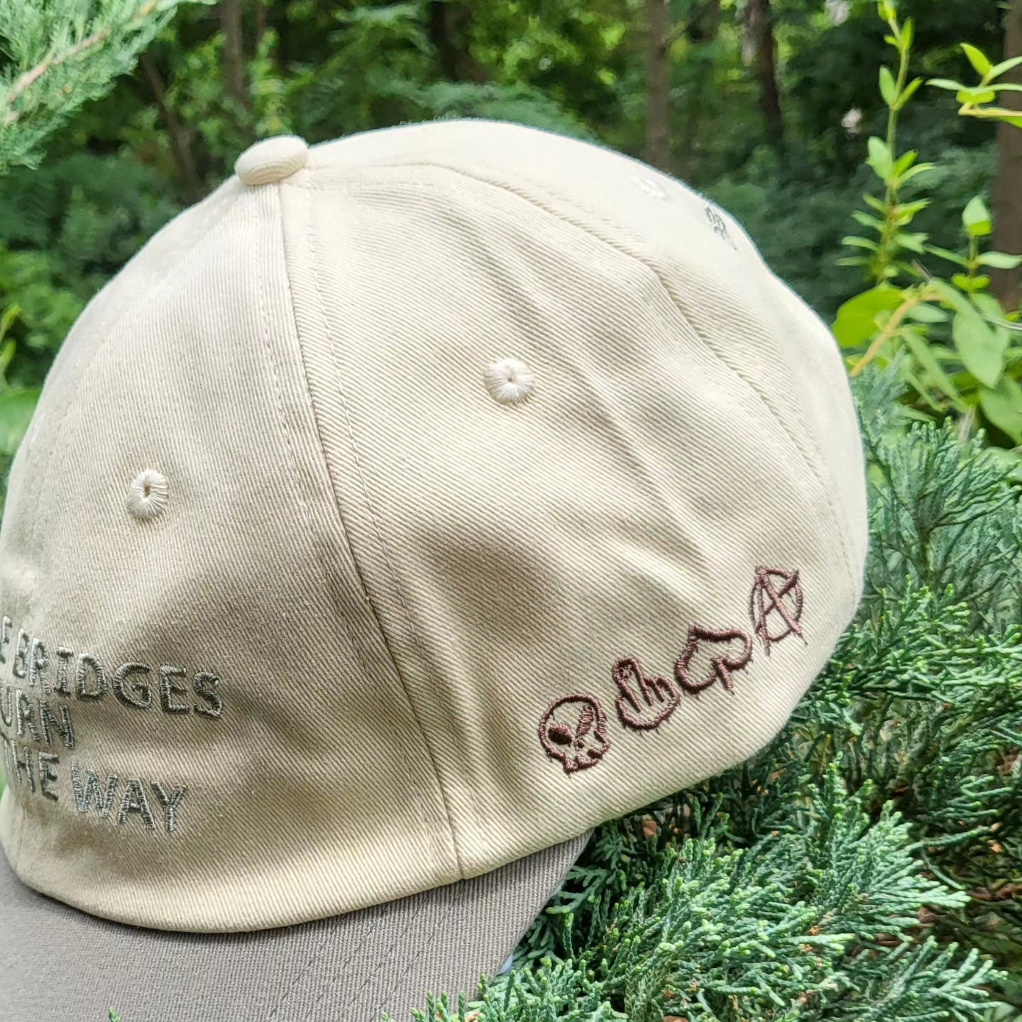 Bridges/V.D.I.F. Dad Hat