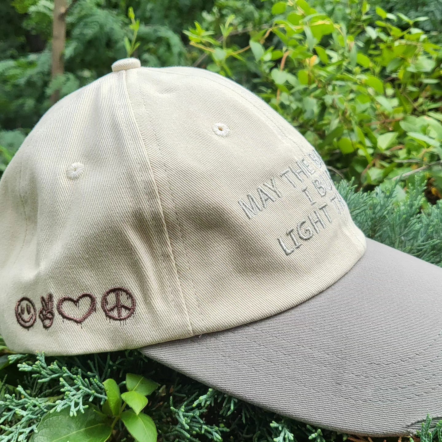 Bridges/V.D.I.F. Dad Hat